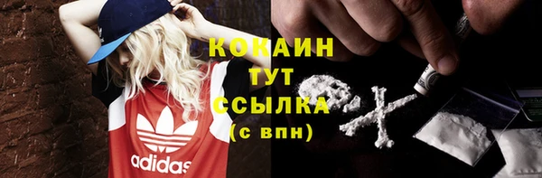 твердый Белокуриха