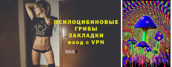 твердый Белокуриха