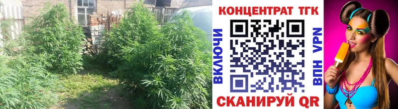 Купить  Дзержинский  Дистиллят ТГК вейп 