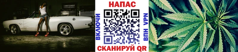 Каннабис Amnesia  Купить закладки  Дзержинский 